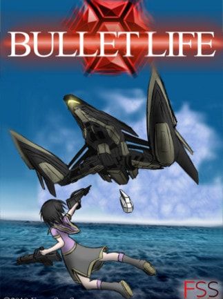Bullet Life 2010 (PC) Steam Key GLOBAL