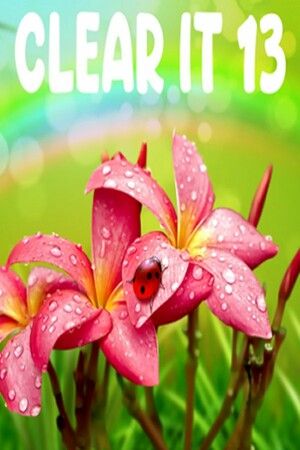 ClearIt 13 (PC) Steam Key GLOBAL