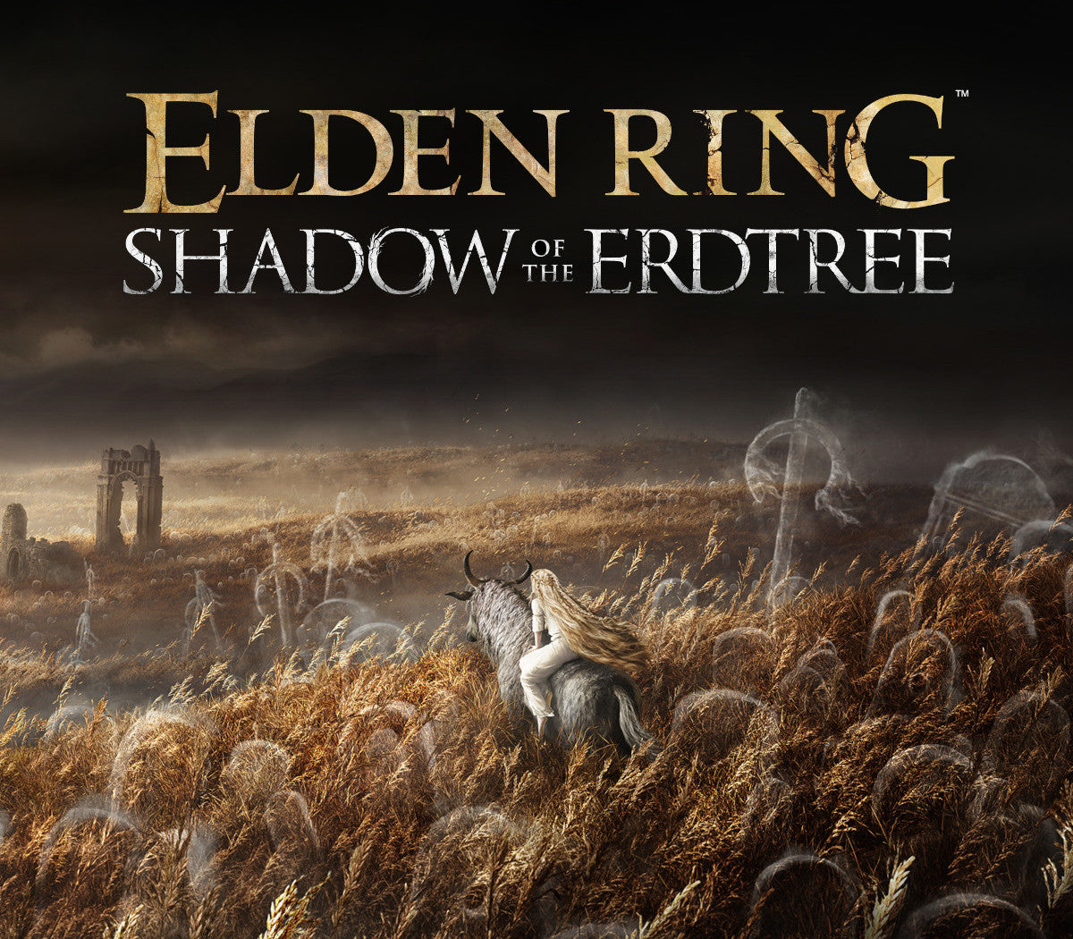 ELDEN RING: Shadow of the Erdtree DLC EU PS5 CD Key