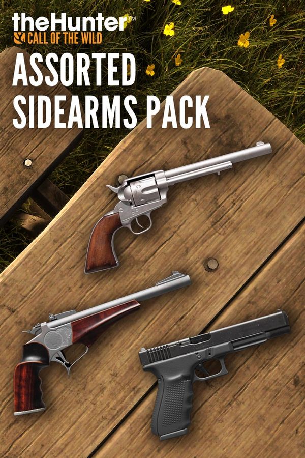 theHunter Call of the Wild™ - Assorted Sidearms Pack (DLC) Steam Key GLOBAL