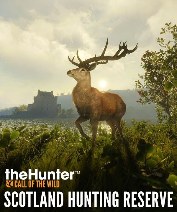 theHunter: Call of the Wild - Scotland Hunting Reserve (DLC) Steam Key (PC) GLOBAL