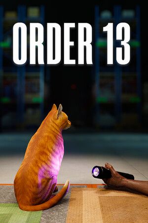 ORDER 13 Steam Key (PC) GLOBAL