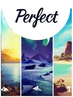 Perfect Steam Key EUROPE