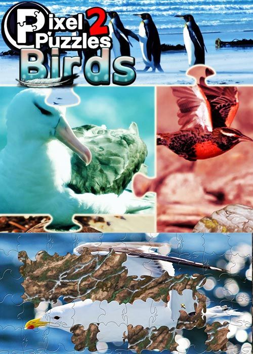 Pixel Puzzles 2: Birds Steam Key EUROPE