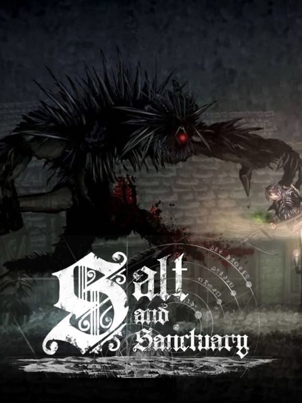 Salt and Sanctuary Steam Key EUROPE