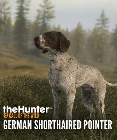 theHunter: Call of the Wild™ - German Shorthaired Pointer (DLC) Steam Key (PC) EUROPE