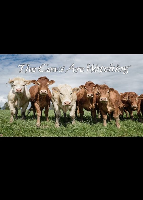 The Cows Are Watching (PC) Steam Key GLOBAL