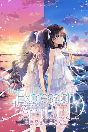 The Expression Amrilato Steam Key (PC) GLOBAL
