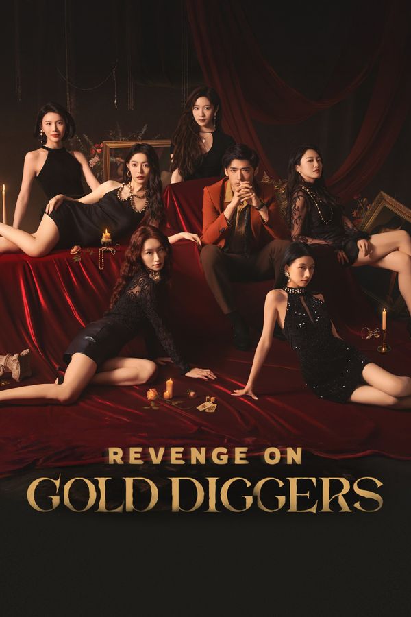 Revenge On Gold Diggers PC/XBOX LIVE Key EUROPE