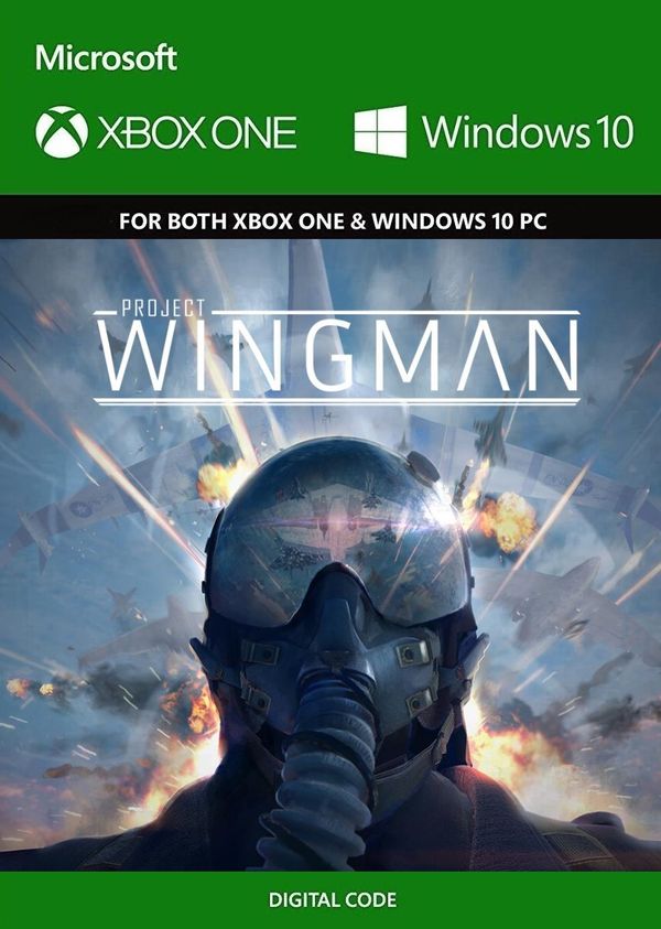 Project Wingman PC/XBOX LIVE Key EUROPE